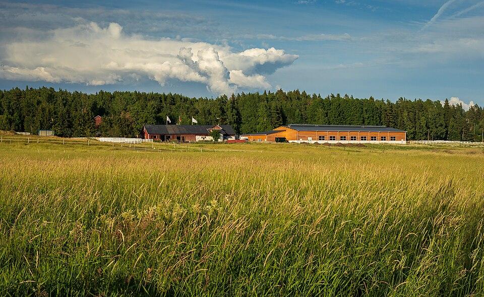 Finlanda — imagine ilustrativă: Rural landscape over field at Kusas in Östersundom, Helsinki, Finland, 2022 July.jpg