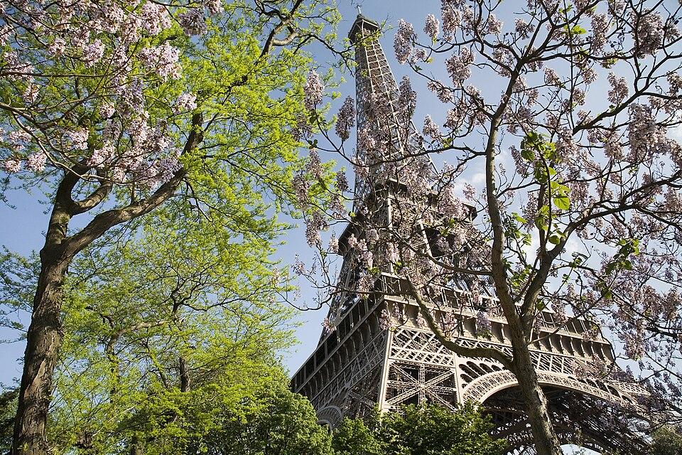 Franța — imagine ilustrativă: Paris - The Eiffel Tower in spring - 2307.jpg